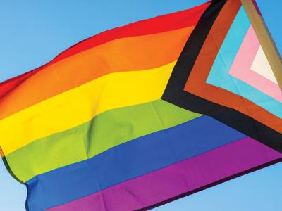 Jones v. Mahaniah is a Blatant Attempt to Safeguard Anti-LGBTQ+ Discrimination and Abuse 